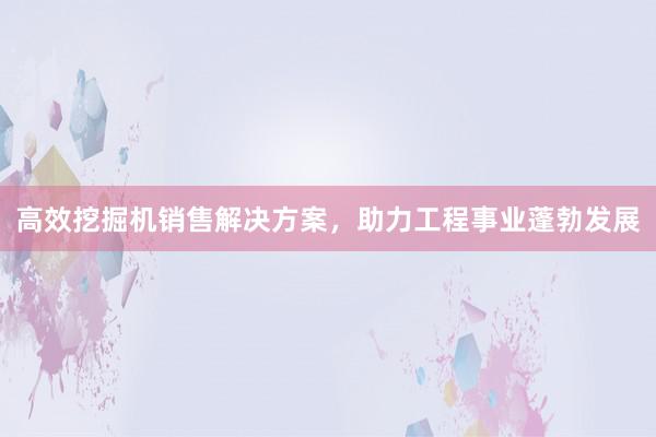 高效挖掘机销售解决方案，助力工程事业蓬勃发展